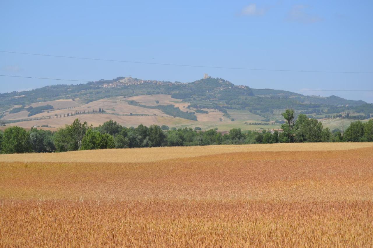 Valdorcia Belvedere B&B Pienza Exterior foto